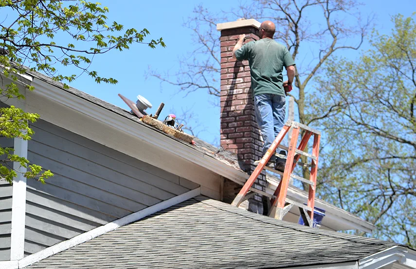 Chimney & Fireplace Inspections Services in Springville, UT